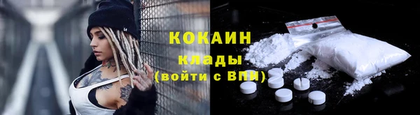 ГАЛЛЮЦИНОГЕННЫЕ ГРИБЫ Ростов