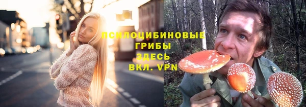 spice Россошь